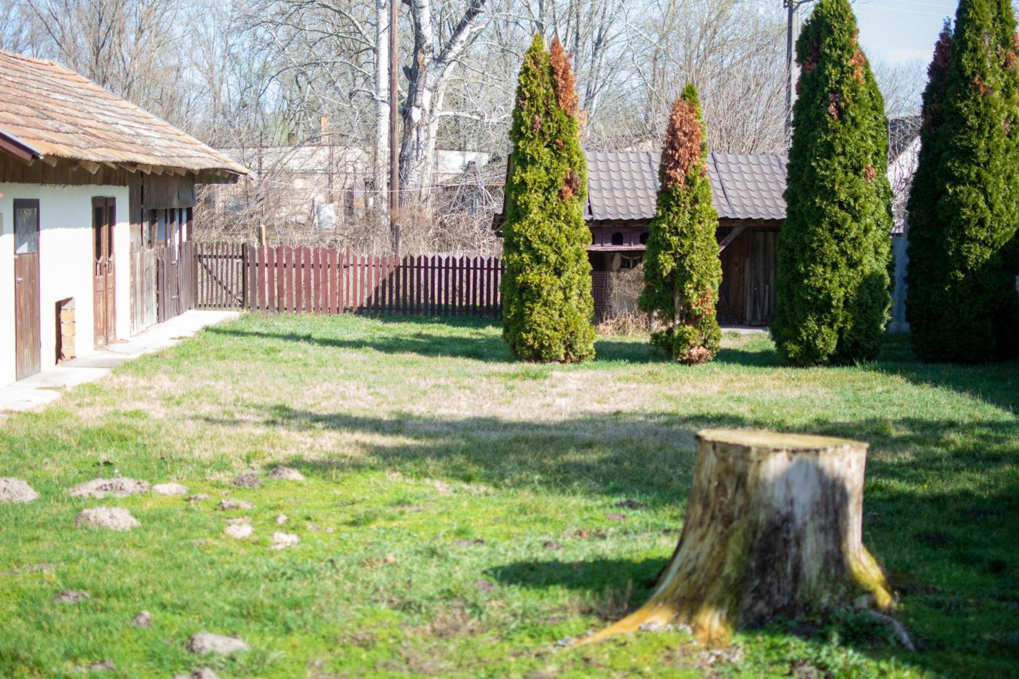 Villa Flora Kiskunmajsa Εξωτερικό φωτογραφία